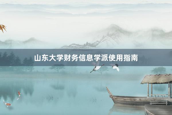 山东大学财务信息学派使用指南