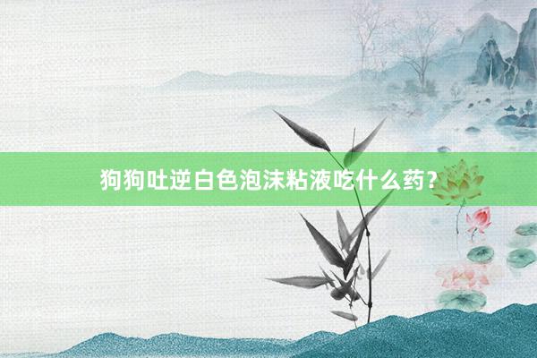 狗狗吐逆白色泡沫粘液吃什么药?
